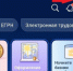 Инструкция по использованию Госкана в мобильном приложении «Госуслуги» - Межпоселенческая библиотека