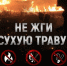 С наступлением сухой и теплой погоды возрастает риск возгорания сухой травы - Кировский район